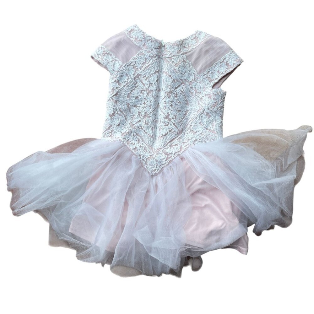 Tadashi Shoji Kids Lace Tutu Dress White Pink Sz 2T Tulle Skirt Fairy Princess - Picture 2 of 5